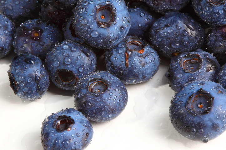 8 bons motivos para investir no Blueberry